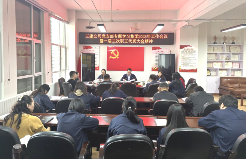 深學篤行展新姿 凝心聚力啟新程&mdash;&mdash;三建公司黨支部專題學習研討集團&ldquo;兩會&rdquo;精神