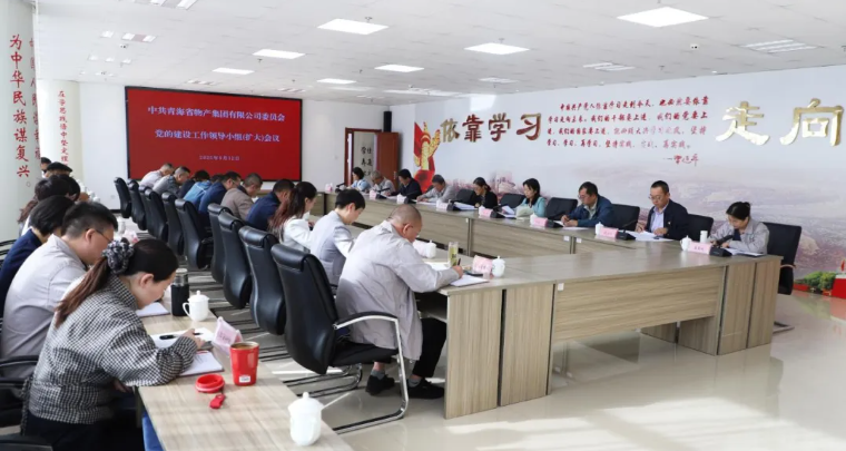 省物產(chǎn)集團黨委召開黨的建設(shè)工作領(lǐng)導小組（擴大）會議