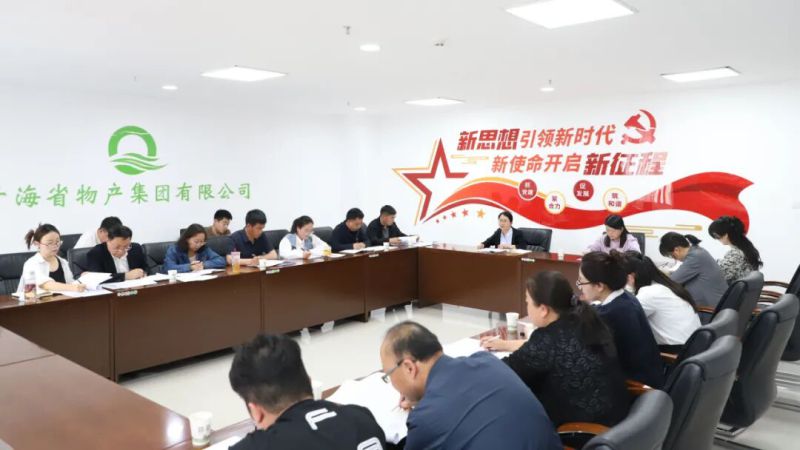 集團紀委召開&ldquo;三化&rdquo;建設(shè)年行動工作推進會