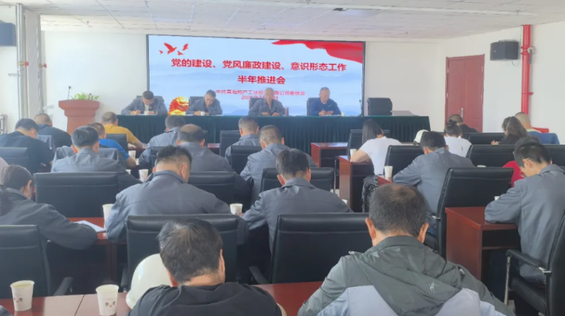 工投公司黨委召開黨的建設(shè)、黨風(fēng)廉政建設(shè)、意識形態(tài)工作半年推進(jìn)會